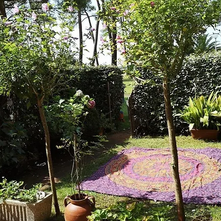 T2 Avec Piscine, 4 Pers, Face Au Lac, - Fr-1-379-103 Apartmán *